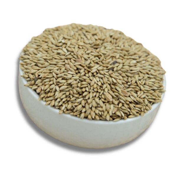 A bowl filled with Apliste canary seeds, showing their texture and color.