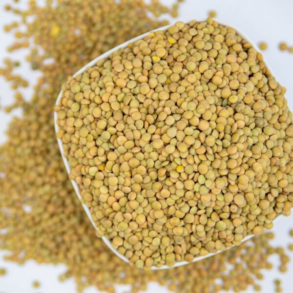 Despensa Colombiana | Lentils 5lbs - Image 2