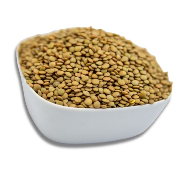 A white bowl filled with dry lentils, showcasing their natural color and texture.