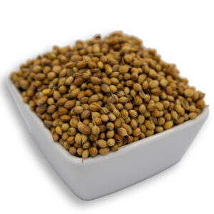 A white bowl filled with coriander seeds, showcasing their smooth texture and deep color.